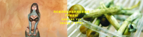 соль ск Абаза
