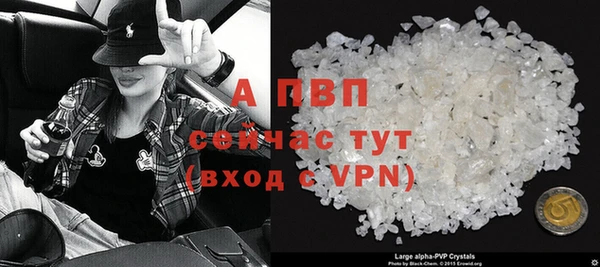 прущие грибы Покров