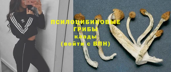 соль ск Абаза