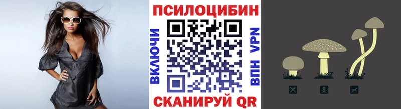 Псилоцибиновые грибы мухоморы  blacksprut рабочий сайт  Туран  купить  